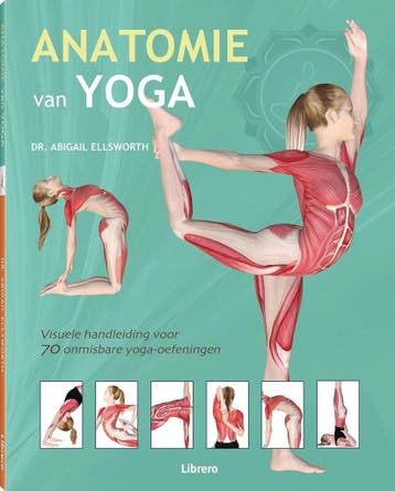 Anatomie van yoga - Abigail Ellsworth 9789089985378, Boeken, Verzenden, Gelezen, Abigail Ellsworth