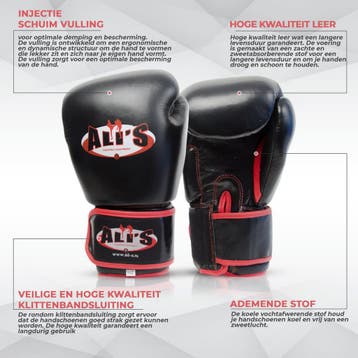 Fightgear - BG TR - Bokshandschoenen - Zwart - Maat M/L - 14, Sport en Fitness, Verzenden, Nieuw