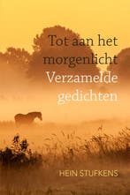 Tot aan het morgenlicht 9789493300057 Hein Stufkens, Verzenden, Gelezen, Hein Stufkens