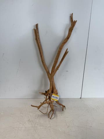 Boutique Stump Selected BS282 - 71x32x24cm (Natuurlijk hout), Ophalen of Verzenden, Nieuw, Plant(en), Steen of Hout