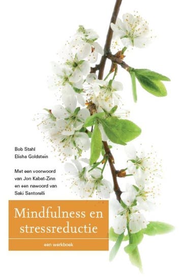 Mindfulness en stressreductie - Bob Stahl 9789057123184, Boeken, Verzenden, Gelezen, Bob Stahl