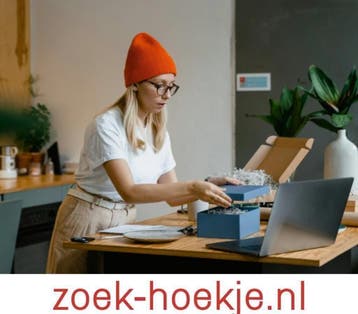 Online Geld Verdienen Vanuit Huis, Starter, Overige vormen, Overige niveaus, Geschikt als bijbaan
