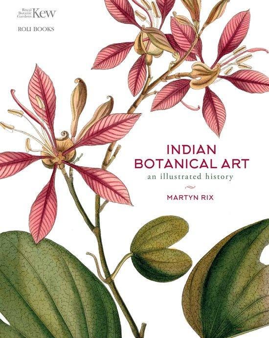 9781842467220 Indian Botanical Art Martyn Rix, Boeken, Studieboeken en Cursussen, Nieuw, Verzenden