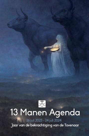 13 manen agenda - Nicole E. huis 9789493300194, Verzenden, Zo goed als nieuw, Nicole E. huis