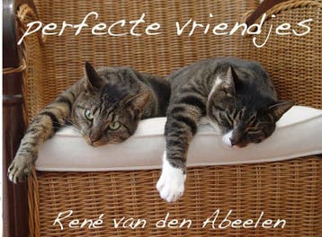perfecte vriendjes - René van den Abeelen 9789402121117, Verzenden, Zo goed als nieuw, René van den Abeelen