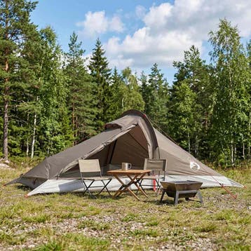 vidaXL Backpacking Tent 2-persoons Bruin en Grijs, Verzenden, Nieuw, Tot en met 2