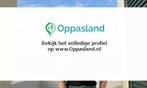 Ik ben Mandy, 23 jaar oud en ik zoek oppaswerk in Den Hel...