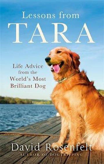Lessons From Tara - David Rosenfelt 9780751563672, Verzenden, Gelezen, David Rosenfelt