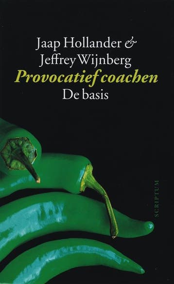 Provocatief coachen - J. Wijnberg 9789055944514, Verzenden, Gelezen, J. Wijnberg