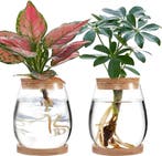Planten Terrarium Glas | Type C 110mm | Retourdeal 32% Ko..., Ophalen of Verzenden, Zo goed als nieuw