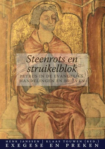 Steenrots En Struikelblok | Henk Janssen; Klaas Touwen, Ophalen of Verzenden, Nieuw, Henk Janssen; Klaas Touwen