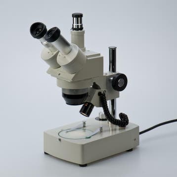 Euromex stereo 10x en 20x met camera-aansluiting. Japan made, Verzenden, Nieuw, Minder dan 400x, Stereomicroscoop
