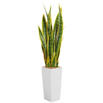 Sansevieria kunstplant, H115cm, Ophalen of Verzenden, Overige soorten, 100 tot 150 cm