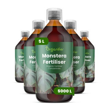 Monstera Vloeibare Meststof - Set 5x1 liter, Verzenden, Mest