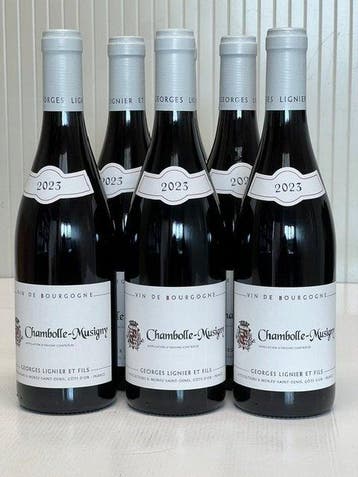 2023 Domaine Georges Lignier - Bourgogne, Chambolle Musigny, Nieuw