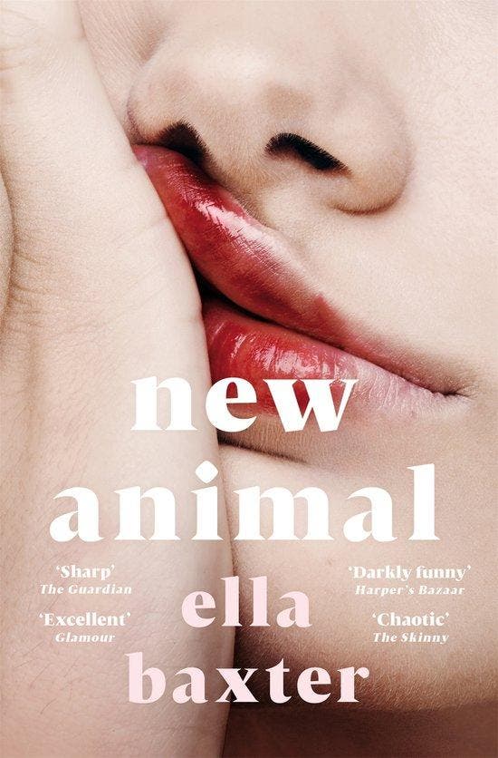 New Animal 9781529074840 Ella Baxter, Boeken, Taal | Engels, Zo goed als nieuw, Verzenden