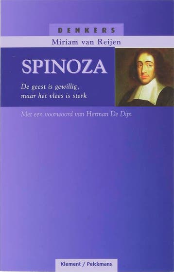 Spinoza / Denkers - M. van Reijen 9789086870226, Verzenden, Gelezen, M. van Reijen