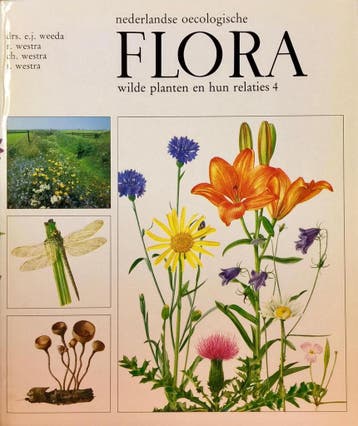 Nederlandse oecologische flora - deel 4 - E.J. Weeda, Verzenden, Gelezen, E.J. Weeda