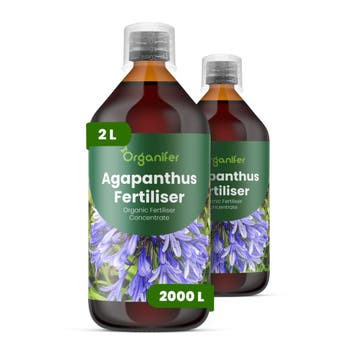Agapanthus Vloeibare Meststof - 2 x 1 Liter, Verzenden, Mest
