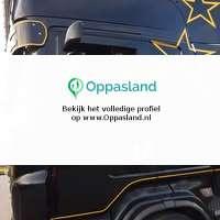 Albert zoekt een oppas in Hattemerbroek voor 2 kinderen o...