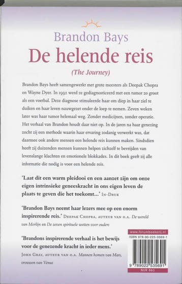 De helende Reis 9789022535691 Brandon Bays, Verzenden, Gelezen, Brandon Bays