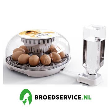 Compleet Expert Volauomatische broedmachines + GRATIS EIEREN, Verzenden, Nieuw, Broedmachine