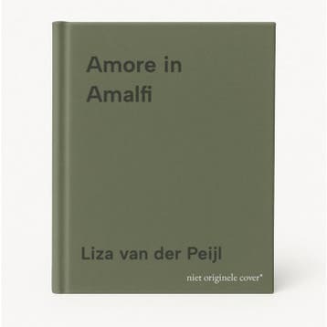 Amore in Amalfi 9789046833353 Liza van der Peijl, Verzenden, Zo goed als nieuw, Liza van der Peijl