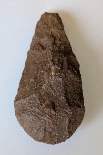 Paleolithisch Kwartsiet Hand axe - 175 mm (Zonder