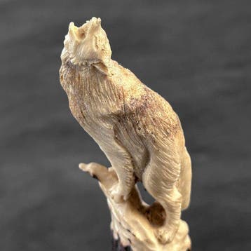 Snijwerk, NO RESERVE PRICE - Stunning wolf carving from deer