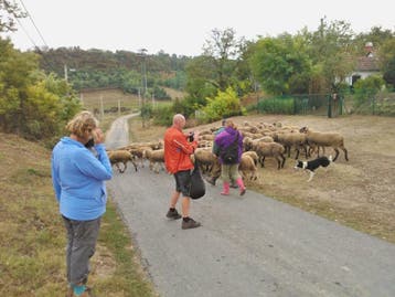 Wandelen in Hongarije met gids, zo. 26 april t/m zo. 3 mei, Vakantie, Vakantie | Sportief en Actief