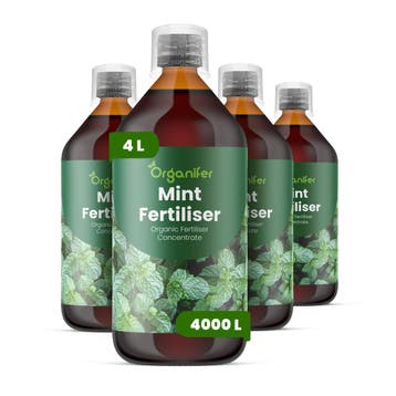 Vloeibare meststof Munt - Set 4x1 liter, Verzenden, Mest