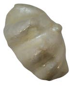 Capiz Clam Plate schelpen Natural 30x17x13 cm, Ophalen of Verzenden, Nieuw