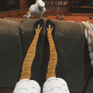 Grappige Kippenpoot Hoge Sokken - Unisex Cartoon Cosplay Sok, Verzenden, Nieuw