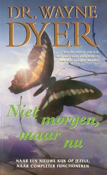 Niet morgen, maar nu - W.W. Dyer 9789022983782, Verzenden, Gelezen, W.W. Dyer