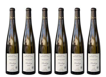 2023 Riesling - Grand Cru Rosacker - Cave de Ribeauvillé -, Nieuw