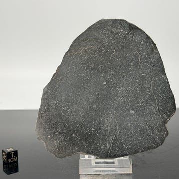 Rumuruti meteoriet XXL NWA 13685 - 62.5 g, Verzamelen, Mineralen en Fossielen
