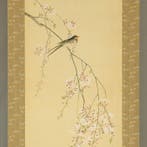 Swallow Perched on Weeping Cherry Tree with Box - with