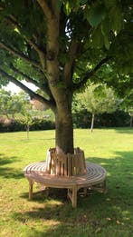 Boombank 180 cm teak, Ophalen of Verzenden, Nieuw