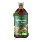 Kalanchoë vloeibare meststof - 1 liter, Verzenden, Mest