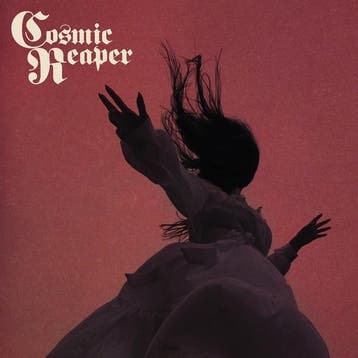 lp nieuw - cosmic reaper - BLEED THE WICKED, DROWN THE DA..., Verzenden, Zo goed als nieuw, Overige formaten