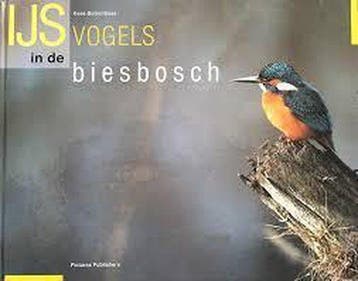IJSVOGELS IN DE BIESBOSCH - K. Bolkenbaas 9789073187085, Verzenden, Zo goed als nieuw, K. Bolkenbaas
