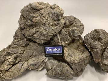 Grey Luo Hanshi 20-30cm aquarium decoratie stenen, Ophalen of Verzenden, Nieuw, Plant(en), Steen of Hout