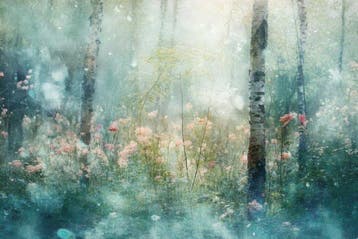 Viet Ha Tran - Abstract Landscape XXIV