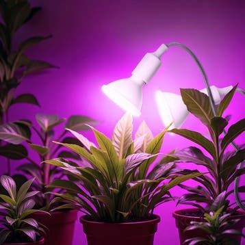 Kobi Planty Clip W Duo - tafellamp met 2x E27 - wit - Fle..., Ophalen of Verzenden, Nieuw