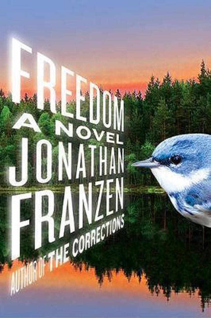 Freedom - Jonathan Franzen 9780374158460, Boeken, Taal | Engels, Gelezen, Verzenden