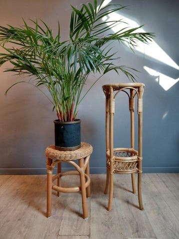Set bijzettafels (2) - Rattan, Bamboe - Plantentafel