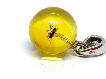 Prachtige Baltische barnsteen bolvormige hanger met een
