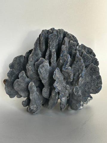 sculptuur, Large Natural Blue Coral – Sculptural Form –