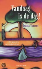 VANDAAG IS DE DAG 9789027400079 Lyanla Vanzant, Boeken, Verzenden, Zo goed als nieuw, Lyanla Vanzant