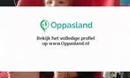 Renee zoekt een oppas in Culemborg voor 1 kind op dinsdag...